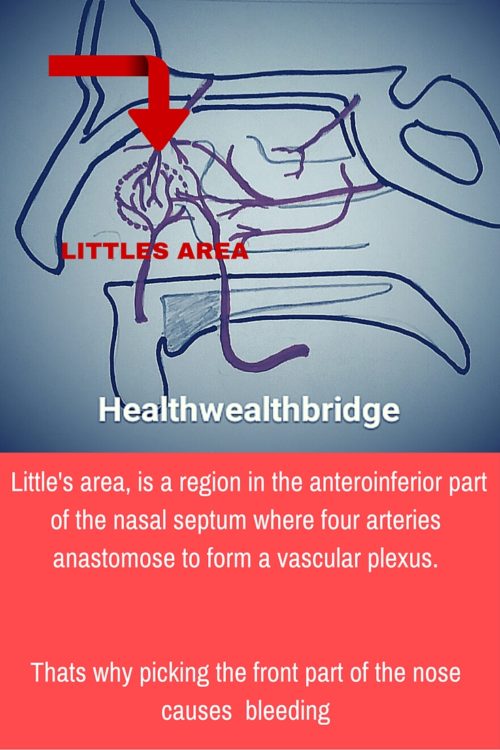 NOSEBLEED IN CHILDREN 3 THINGS YOU NEED TO KNOW(+A home care checklist download