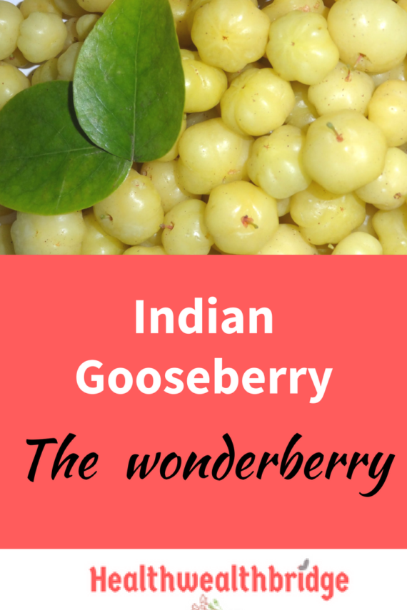 Indian Gooseberry : Cancer protective Wonderberry - Healthwealthbridge