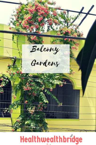 #ThursdayTreeLove:Balcony Garden ideas in India