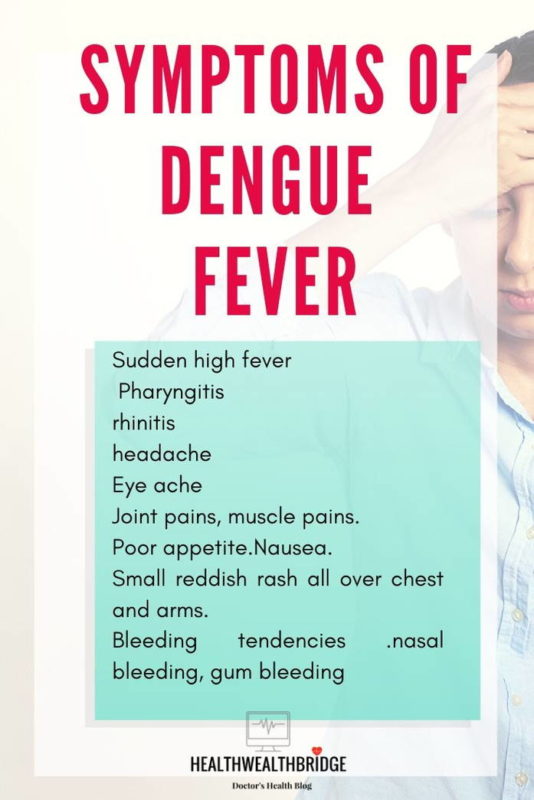 Recurrent Dengue Fever Dangers - Healthwealthbridge