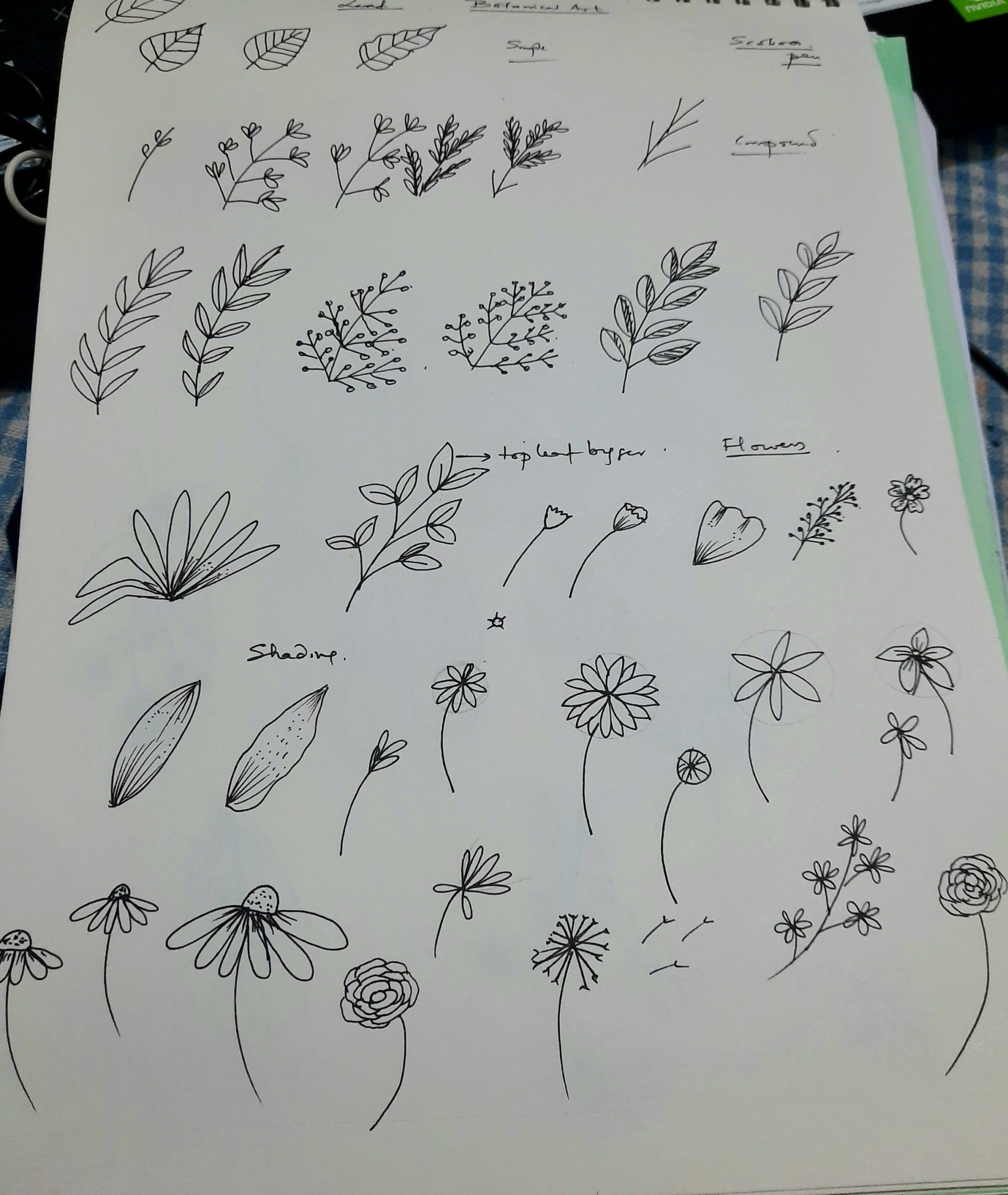 Doodle Botanical art 