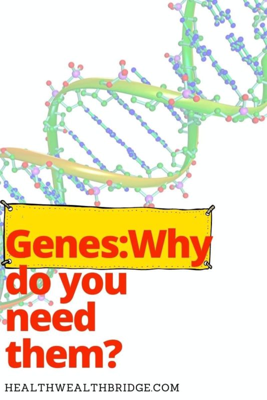 Genes and Genetic disorders: Human Body for kids - Healthwealthbridge