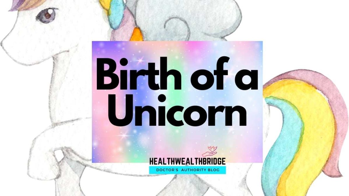 Birth of a Unicorn Book Review