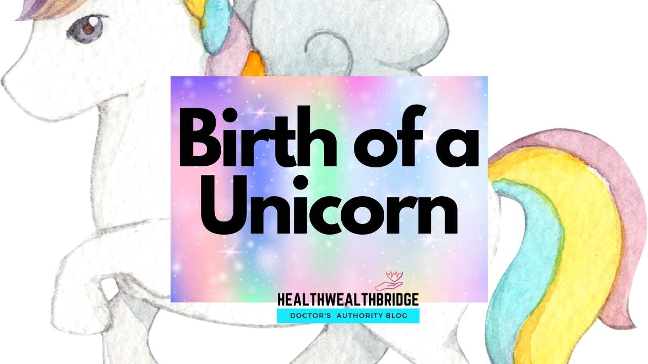 Birth of a Unicorn Book Review