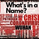 Wuhan virus CCP virus