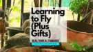 Learning to fly and free books
