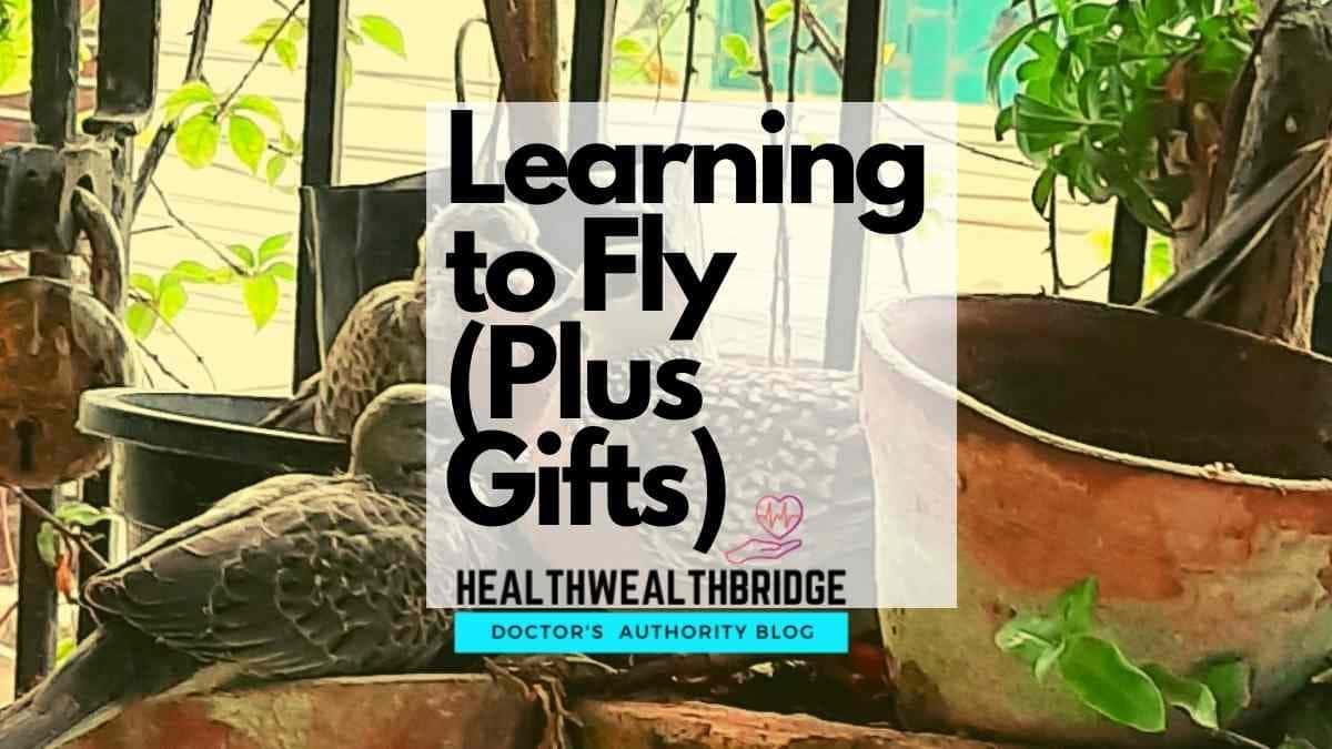 Learning to fly and free books